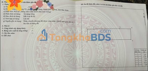 Nhà Mặt Tiền Long Vỹ, Từ Sơn 106m² Hướng Đông - Giá Tốt Đầu Tư