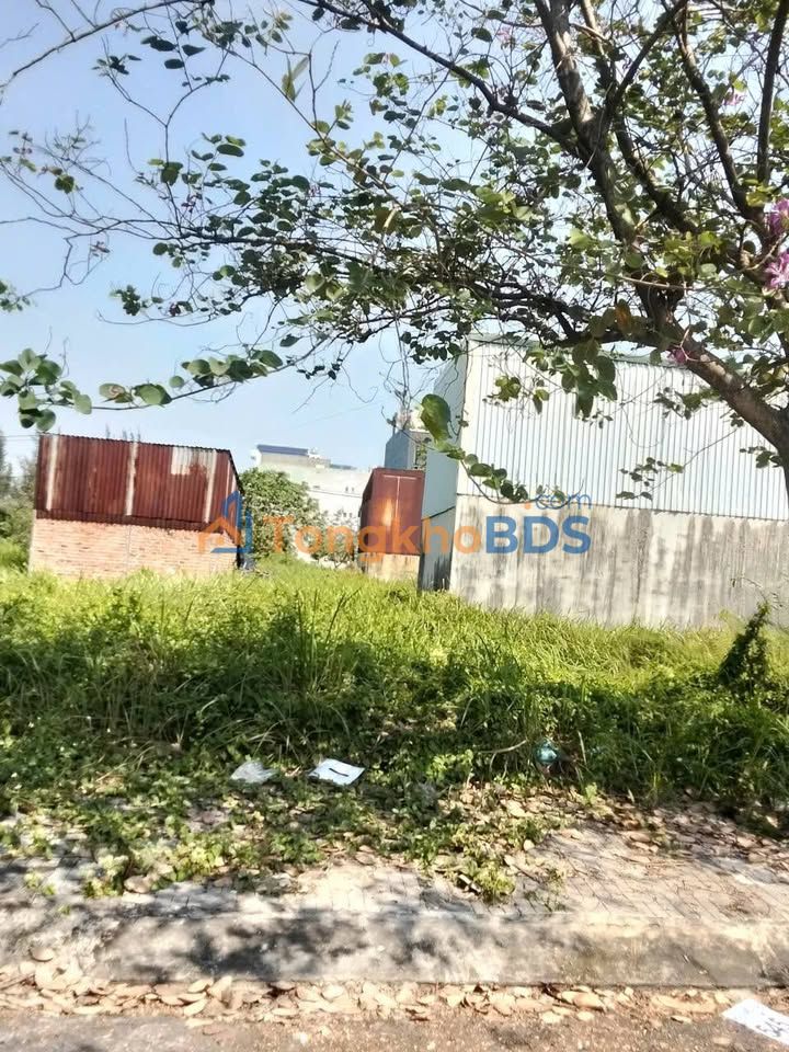 Đất nền Sổ hồng riêng, 90m² tại KDC Xuyên Á Mỹ Hạnh Nam, Đức Hòa - Giá 2.5 tỷ