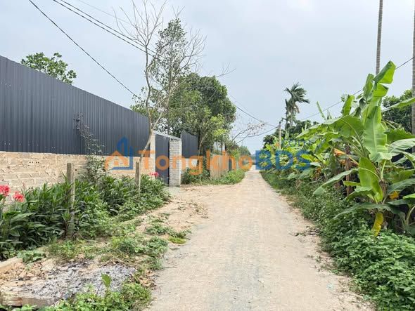 Đất Vườn 144m² Sài Sơn, Quốc Oai - Sổ Hồng Sẵn Sàng, Giá Đầu Tư 610 Triệu