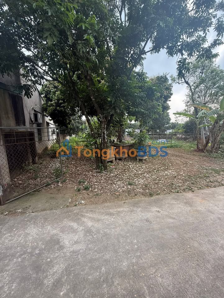 Đất Nền Mặt Tiền 374m² K4 Ninh Dân, Phú Thọ - Cơ Hội Đầu Tư Sinh Lời