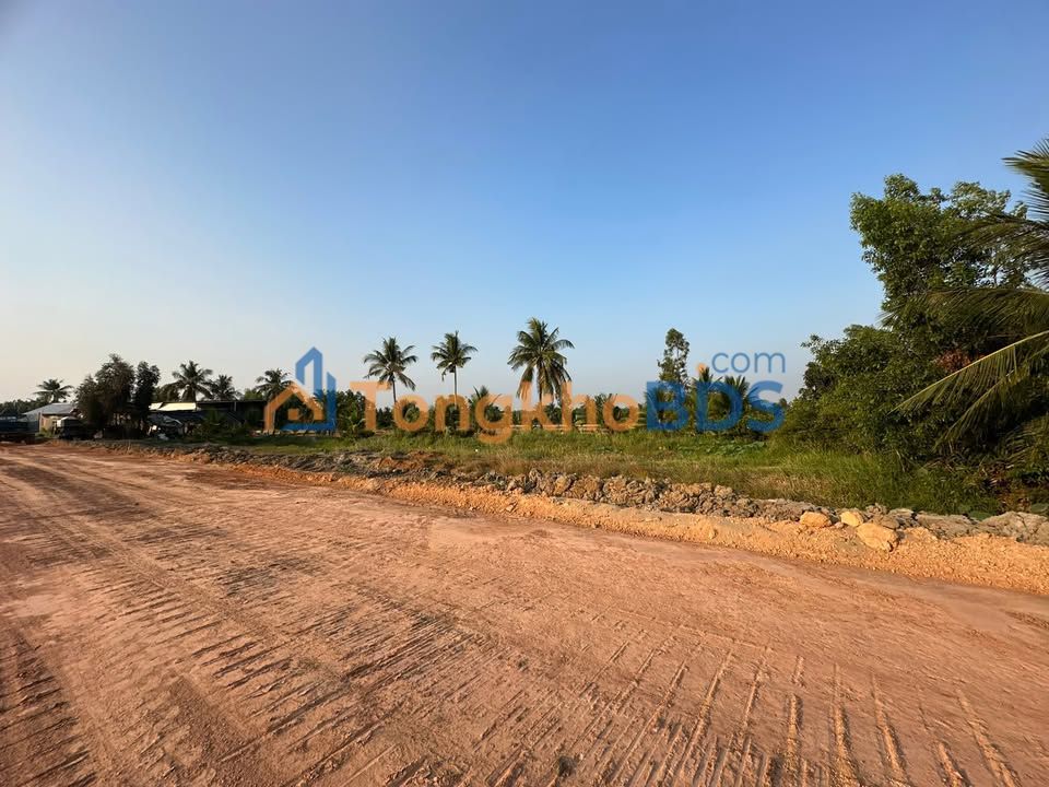 Bán Đất Mặt Tiền Vành Đai 3 Nhơn Trạch 1387m² - Sổ Đỏ Tách Riêng