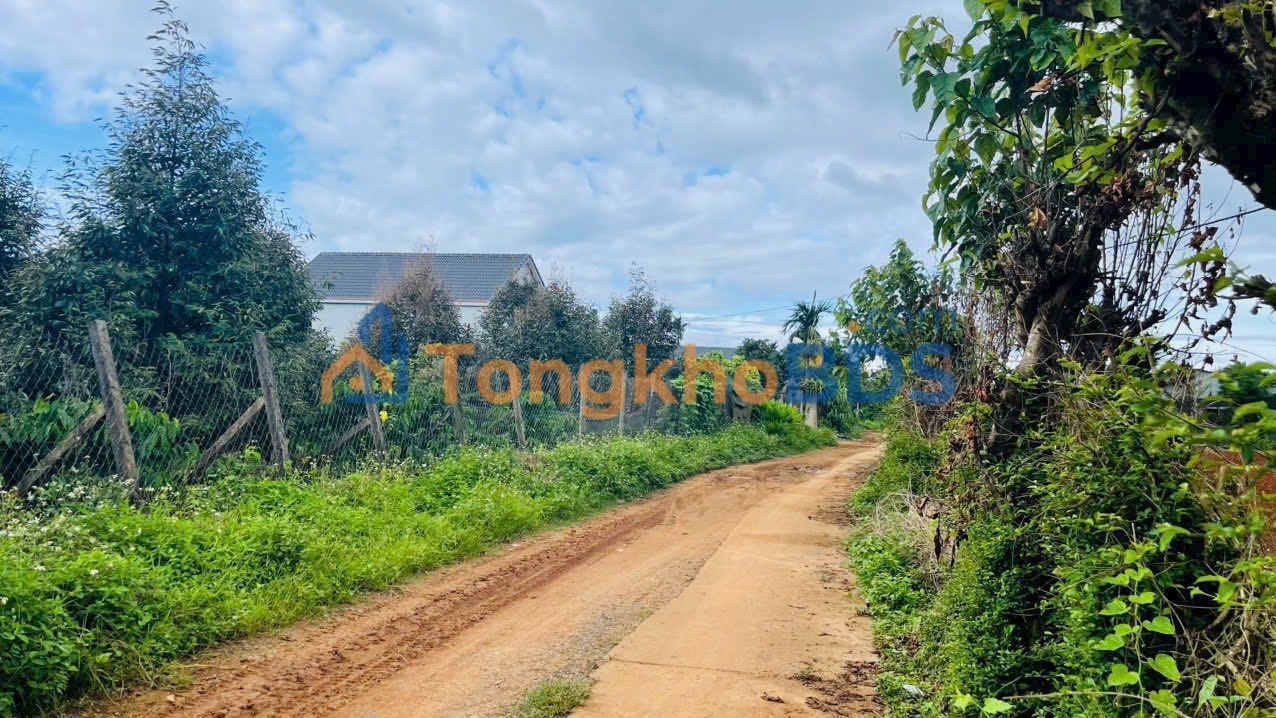 Đất Thổ Cư Nam Dong, Cư Jút 450m² - Giá 420 Triệu, Sẵn Sổ Hồng