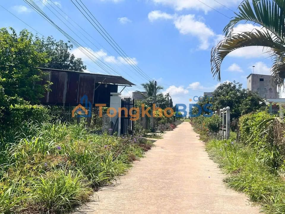 Đất nền Cần Giờ Long Hòa 460m² 0.6 tỷ - Sổ đỏ thổ cư