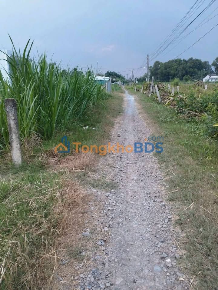 Bán Đất Trung An, Mỹ Tho 300m² - Lộ Đá Xanh Oto, 490 Triệu