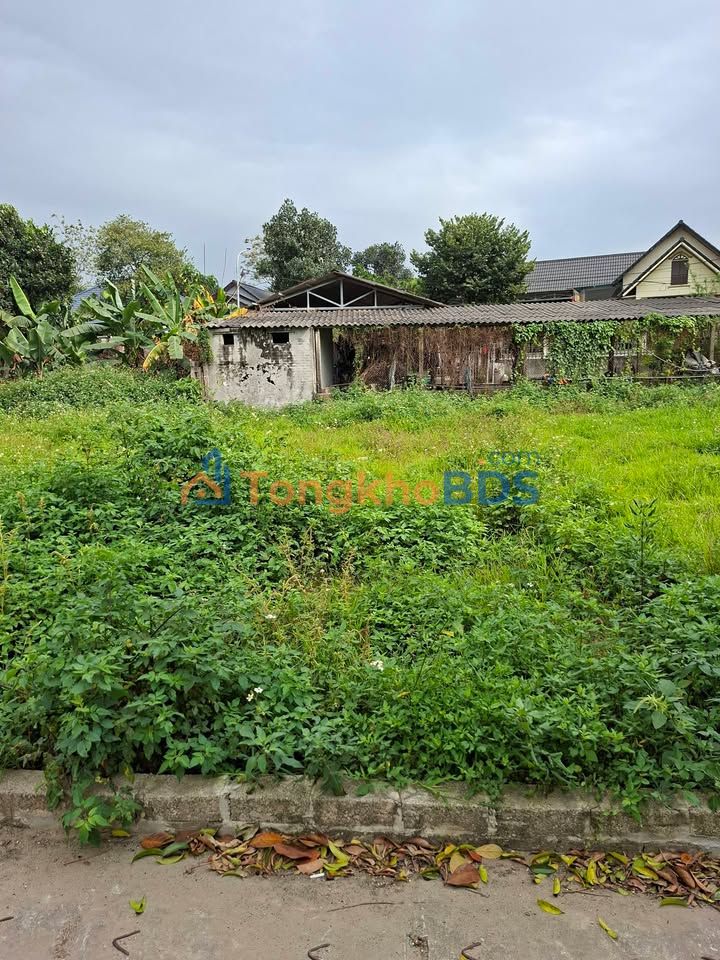 Đất nền Sơn Đông 120m² full thổ cư - Sẵn sổ, thanh khoản cực nhanh