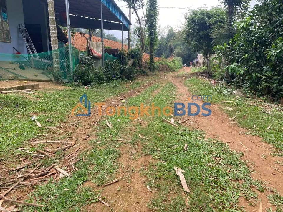 Bán Đất Nền 1500m² Sổ Đỏ Thổ Cư 1000m² Tại Ngọc Lặc, Thanh Hóa - Giá Tốt