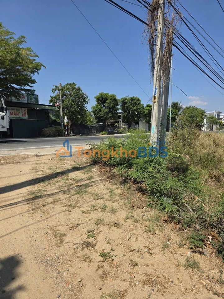 Đất Mặt Tiền QL1A Ninh Phước - 250m² Thổ Cư, Ngang 16m - Kinh Doanh Đa Ngành