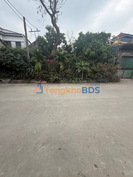 Đất Nền Thanh Oai 145.9m² Sổ Đỏ Full Thổ Cư - Giá 6 Tỷ