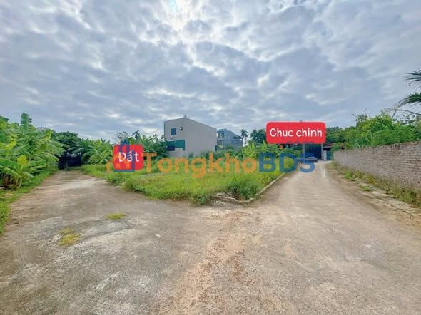 Đất nền 81m² Tân Trạch, Bố Trạch - Sổ đỏ sẵn, ô tô vào tận nơi