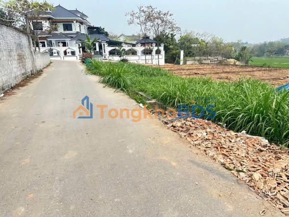 Bán đất Thôn Tự Do, Tam Dương 138m² - Sổ đỏ thổ cư, ô tô tránh