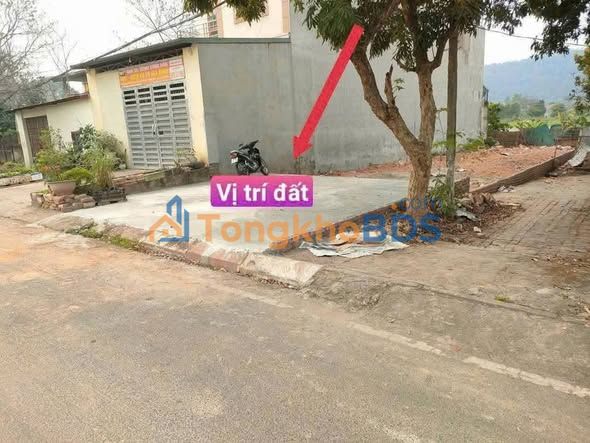 Đất Vĩnh Phúc 156m² - Mặt Tiền Kinh Doanh TDP Thanh Xuân, Giá 2.2 Tỷ