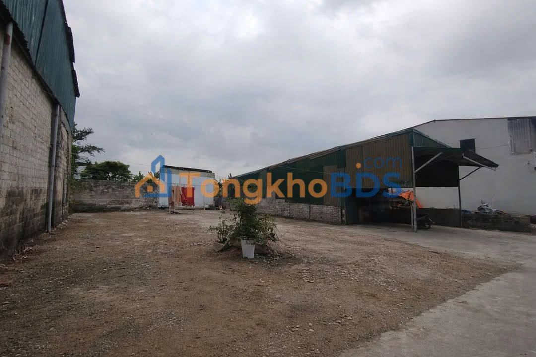 Bán Gấp Đất Nền 200m² Quảng Chính, Thanh Hóa - Sổ Đỏ Vuông Vắn, Giá Tốt