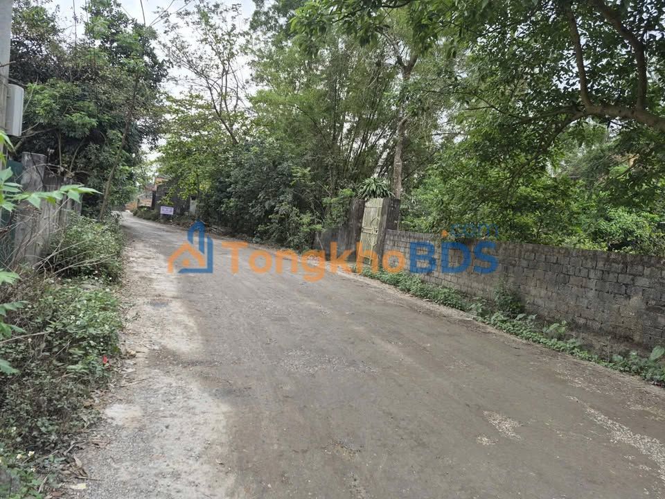 Đất Vàng Hậu Lộc - 200m² Mặt Tiền 12.5m, Giá 680 Triệu Chính Chủ