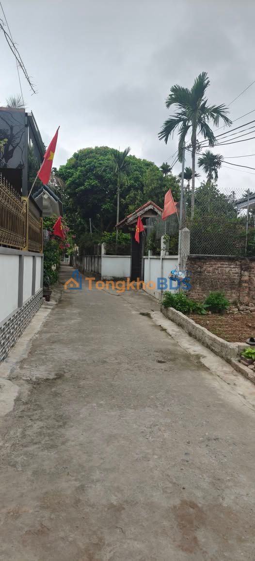 Bán Đất Thường Tín 103.5m² - Sổ Đỏ Chính Chủ, Ô Tô Tới Nơi