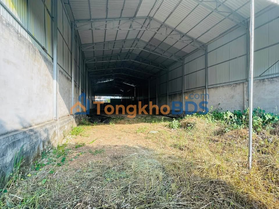 Đất nền Quốc lộ 56 Bà Rịa 840m² - Sổ đỏ chính chủ