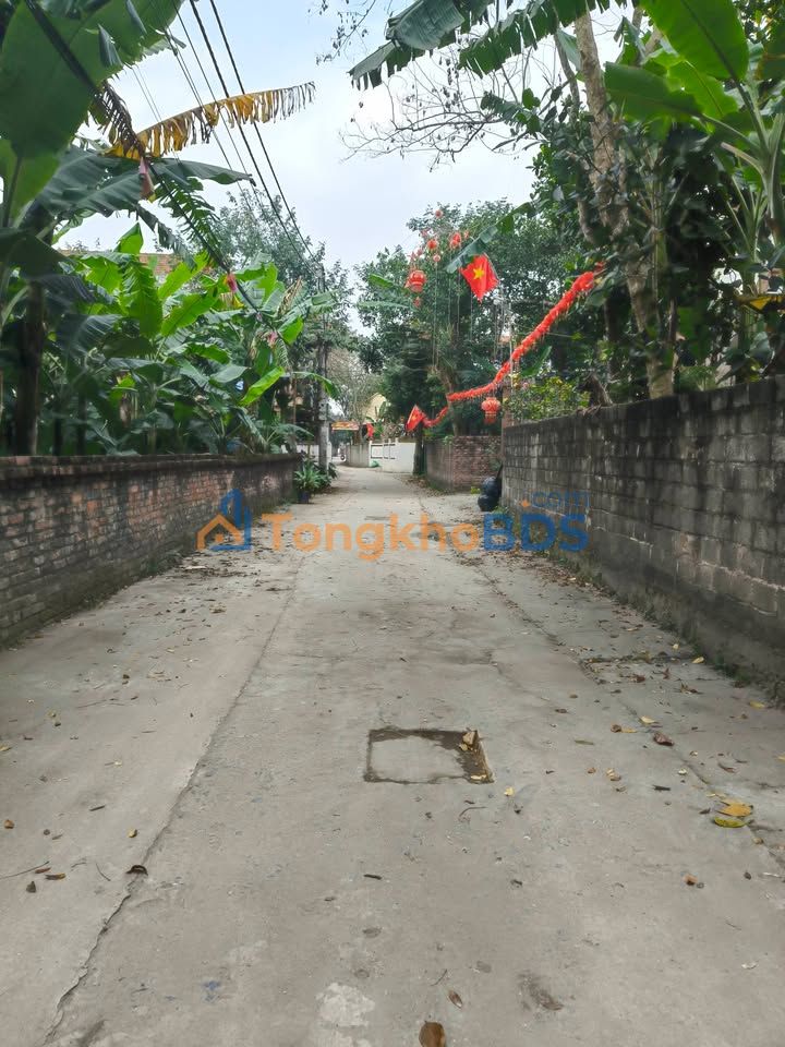 Đất nền Cao Viên Thanh Oai 116m² giá đầu tư - Sổ đỏ chính chủ