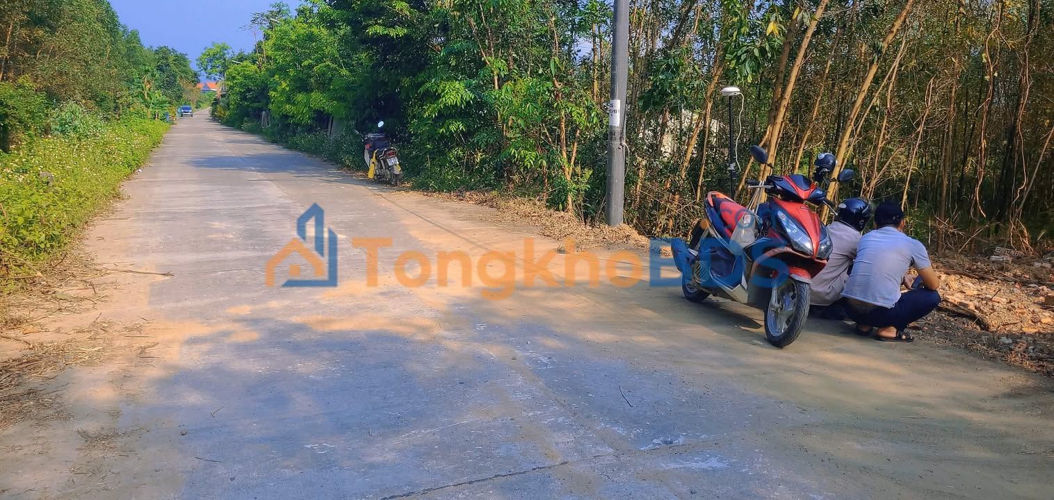 Đất Nền Cẩm Lệ 148m² - Gần Vành Đai, Giá 1.3 Tỷ