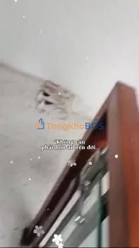 Nhà Mặt Tiền Lê Trọng Tấn, Đà Nẵng - 100m², 3 Tầng - Giá Tốt