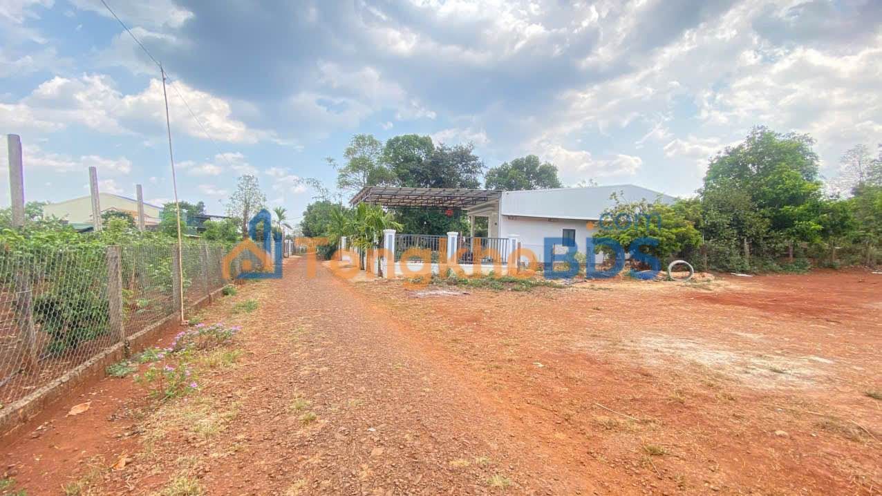 Bán Đất Nền 170m² Thôn 1 Tân Hoà, Buôn Đôn - Sổ Đỏ Sẵn Sàng