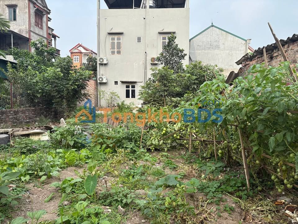 Đất nền Sổ đỏ 76m² tại Tân Triều, Thanh Trì - Ngõ thông ô tô, gần KCN Nội Bài