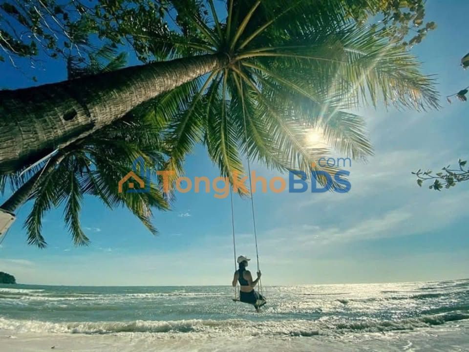 Farm 12ha Mặt Tiền Biển Phan Thiết - Giá 1xx Tỷ