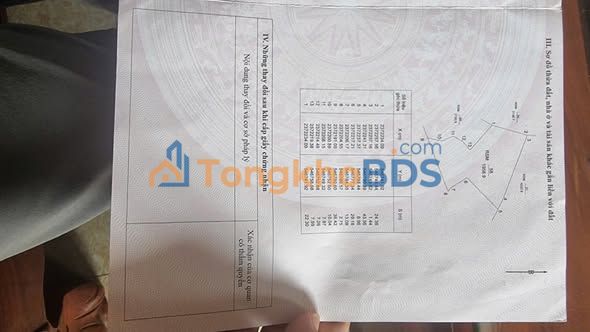 Đất Vườn Lập Thạch 5.5 Sào - Giá Chỉ 3.2 Tỷ - Sẵn Vườn Bạch Đàn