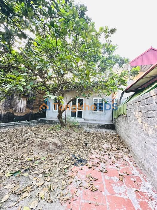 Bán Đất Đỗ Xá, Thường Tín 80m² - Sổ Đỏ Sẵn Sàng Giao Dịch