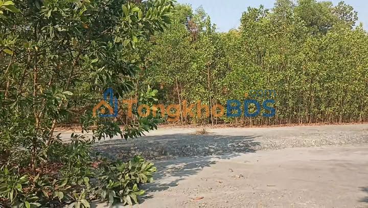 Đất nền Ma Đa Guôi 546m² 550 triệu - Sổ đỏ chính chủ