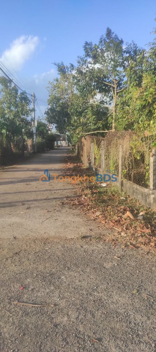 Bán Đất Nông Nghiệp Krông Buk - 1172m² Có Sầu Riêng, Vườn Trái Cây - Giá 3.08 Tỷ