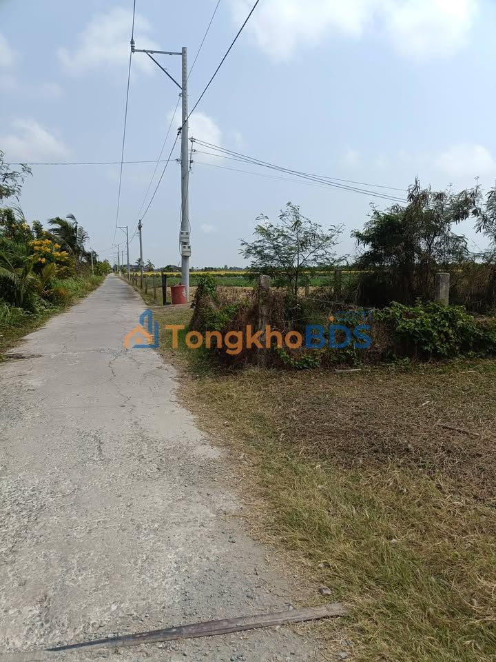 Đất nền mặt tiền kênh 155m² tại Tân Điền, Tiền Giang - Giá 260 triệu