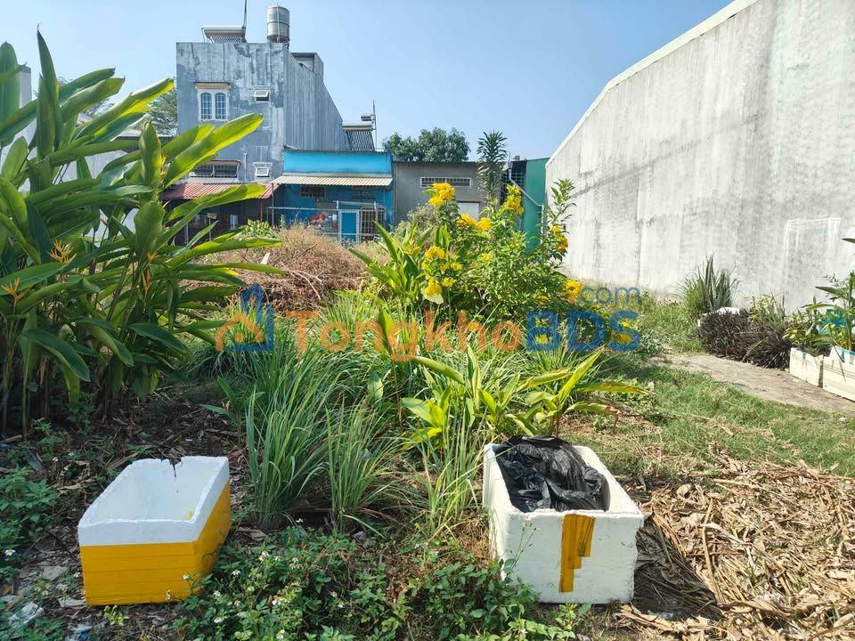 Đất Nền Mặt Tiền Nhựa Thuận An 200m² - Sổ Riêng Giá 300 Triệu