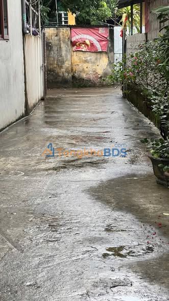 Đất nền Tô Hiệu, Thường Tín 50.6m² - Ô tô đỗ cửa, tiềm năng tăng giá