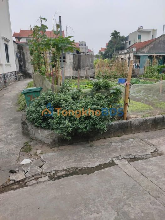 Đất Nền Hồng Vân Thường Tín 96.5m² - Lô Góc 3 Mặt Tiền Ô Tô