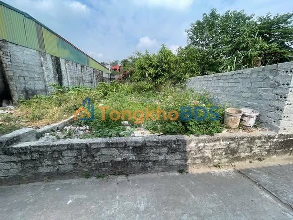 Đất Vạn Điểm Thường Tín 96.6m² - Nở Hậu Hút Lộc, Sổ Đỏ Chính Chủ