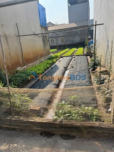 Nhà 34m² Sổ Đỏ Ngay Chợ Vĩnh Lộc, Thường Tín - Giá 2.7 Tỷ