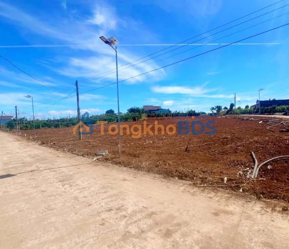 Đất Nền 2 Mặt Tiền Tân Hội, Đức Trọng - 180m² Full Thổ Cư