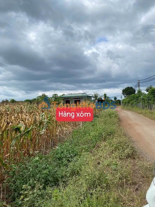 Đất thổ cư Cư M'gar 150m² Sổ hồng - Giá chỉ 199 triệu