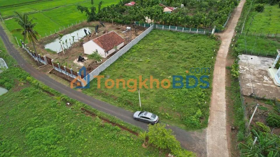 Đất Eabar Buôn Đôn 100m² - Góc 2 Mặt Tiền, View Ruộng Giá Tốt