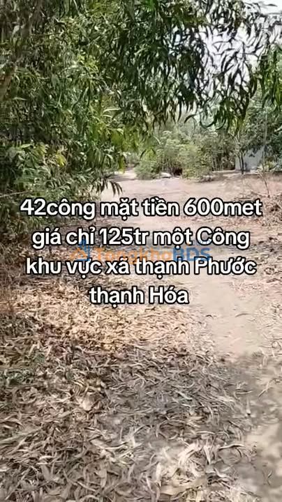 Đất nền góc 360m² Nhơn Trạch - Giá F0 chỉ 125 triệu/công