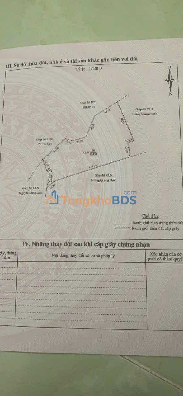 Đất Rừng Trồng 11.000m² Vĩnh Long - Giá Tốt, Sẵn Sàng Làm Farm