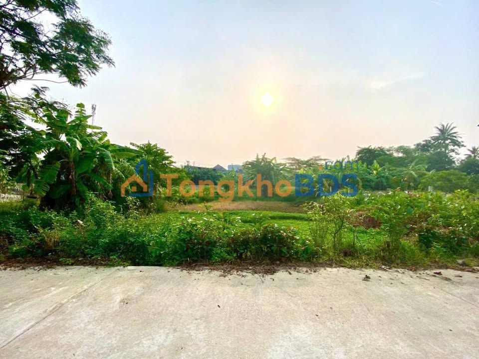 Bán Đất Lô Góc Triều Sơn, Huế 263m² - Sổ Đỏ Sẵn Sàng