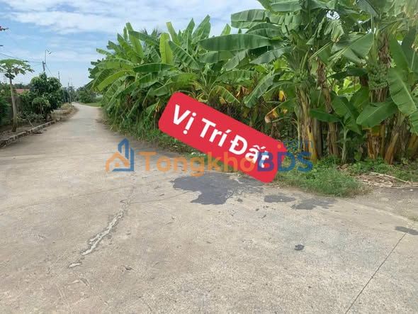 Đất Nền Long An 224m² Giá 1.15 Tỷ - Sổ Hồng Sẵn Sàng