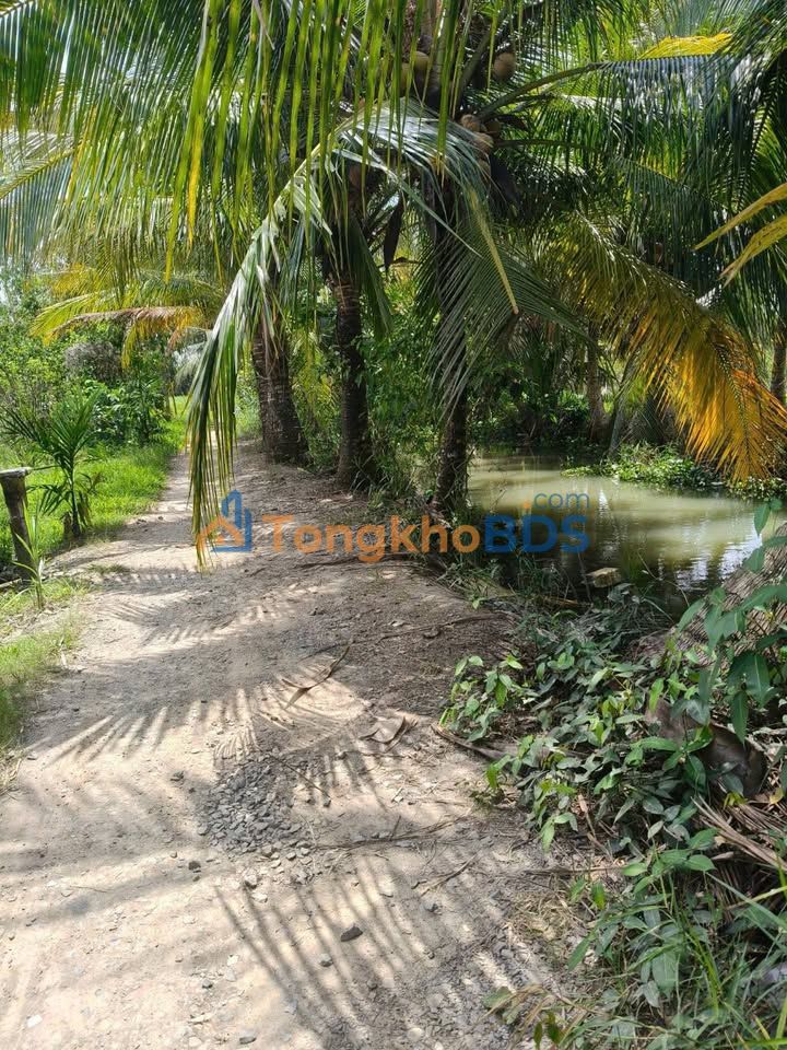 Đất cam Ninh Bình 10.000m² 170 triệu/1.000m²-Sổ đỏ chính chủ