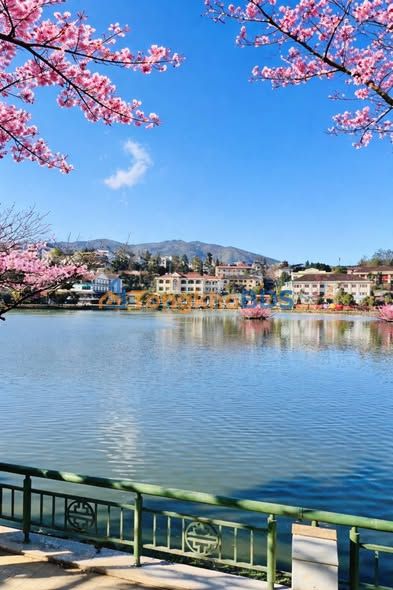 Đất Sổ Đỏ 136m² Hồ Mắt Ngọc, Sa Pa - Giá 6.8 Tỷ, Kinh Doanh/Đầu Tư