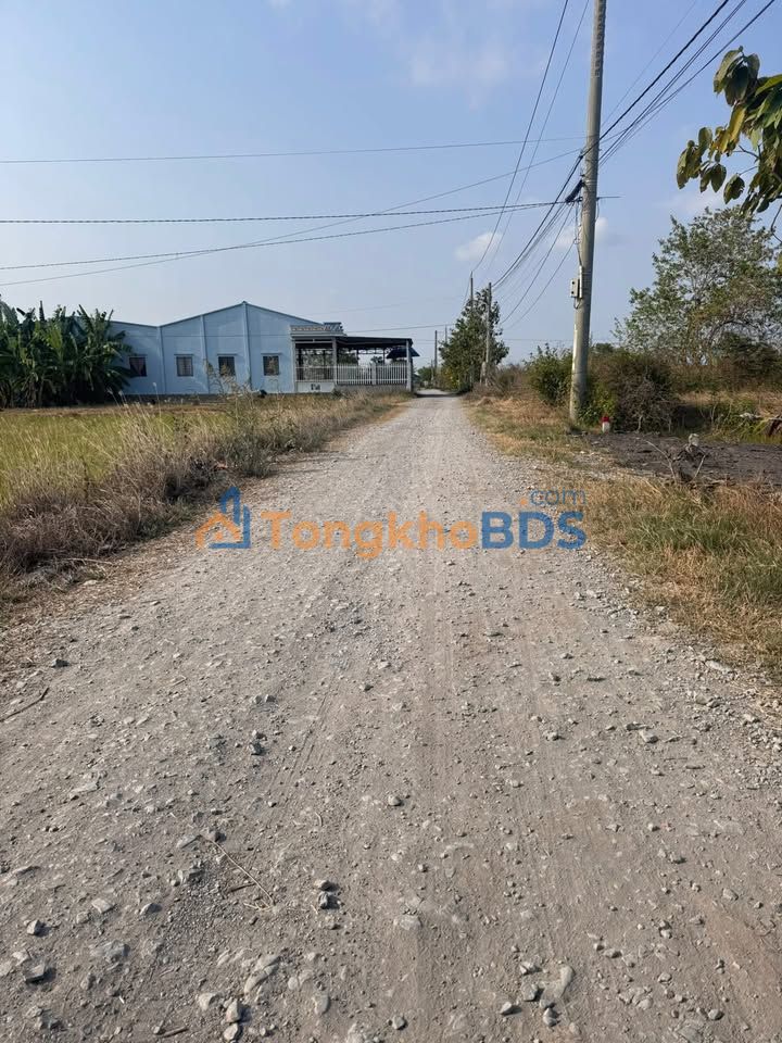 Đất nền Tân Tập Cần Giuộc 149m² 670 triệu - Sổ đỏ chính chủ