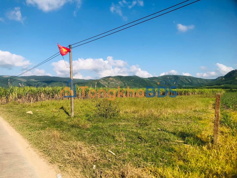 Bán Đất Nông Nghiệp 3721m² Phú Hoà - Sổ Hồng BHK, Sẵn Sàng Lên Thổ Cư