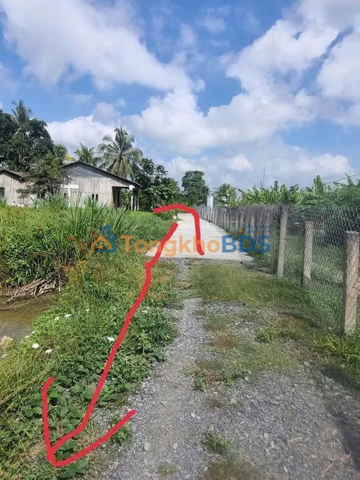 Đất Vườn 1000m² Trung Tâm Tân An - Sổ Riêng, Sẵn Vườn Ao