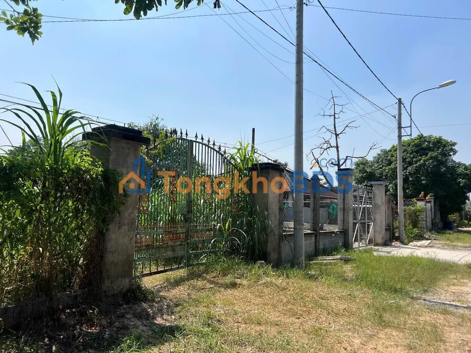 Đất Đoàn Minh Triết Củ Chi 620m² 3.5 tỷ - Sổ đỏ