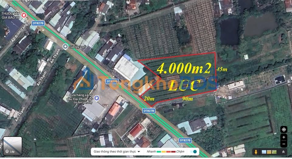 Đất ĐT.827B Tân An 4.000m² giá 8,8 tỷ - Đường to ô tô