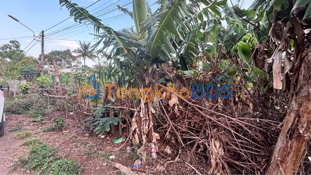 Đất Nền KOMLEO - 510m² Full Thổ Cư, Sổ Hồng Riêng, Giá Tốt